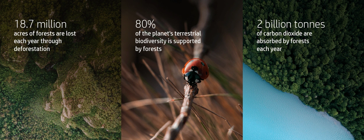 Eco Friendly Printer | Infographic About the Environment & Sustainability | HP Virtual Booth Eco Friendly Printer | Infographic About the Environment & Sustainability | HP Virtual Booth